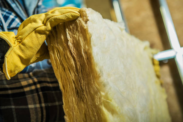Best Residential Insulation in Bayou Lourse, LA