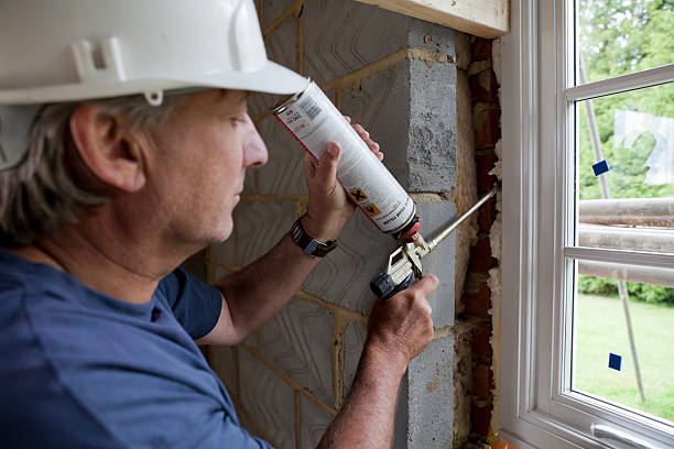 Best Commercial Insulation in Bayou Lourse, LA