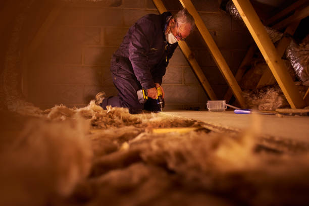 Best Insulation Installation Services in Bayou Lourse, LA